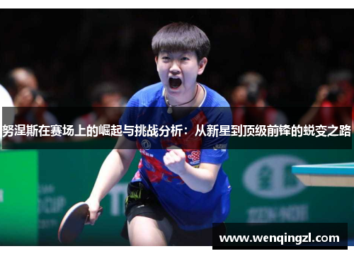 努涅斯在赛场上的崛起与挑战分析：从新星到顶级前锋的蜕变之路