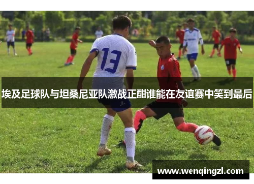 埃及足球队与坦桑尼亚队激战正酣谁能在友谊赛中笑到最后