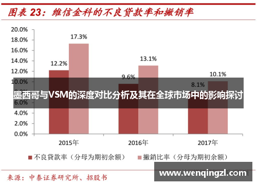 墨西哥与VSM的深度对比分析及其在全球市场中的影响探讨