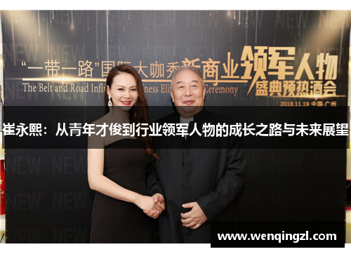崔永熙：从青年才俊到行业领军人物的成长之路与未来展望