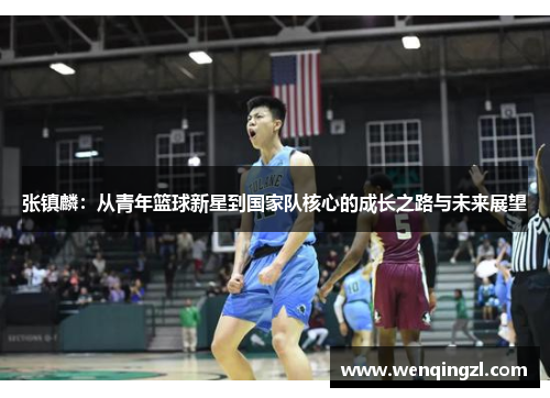张镇麟：从青年篮球新星到国家队核心的成长之路与未来展望